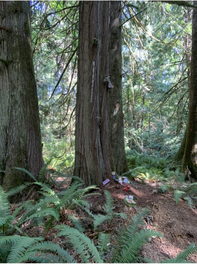 Picture of the tree display located near Westhills Park