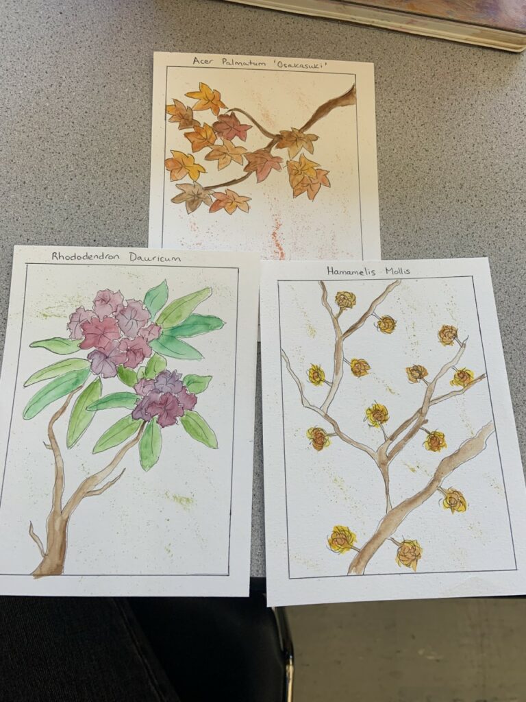 Three botanical illustrations using watercolour