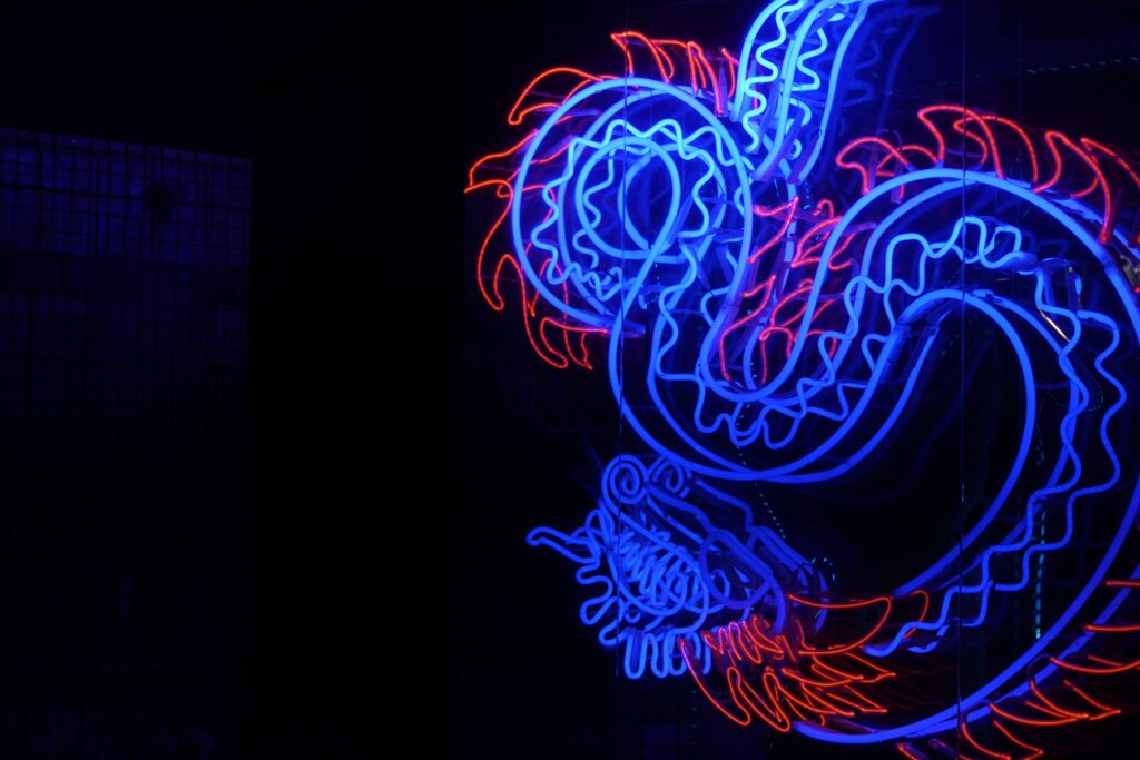 Photo of a blue and red LED dragon light
